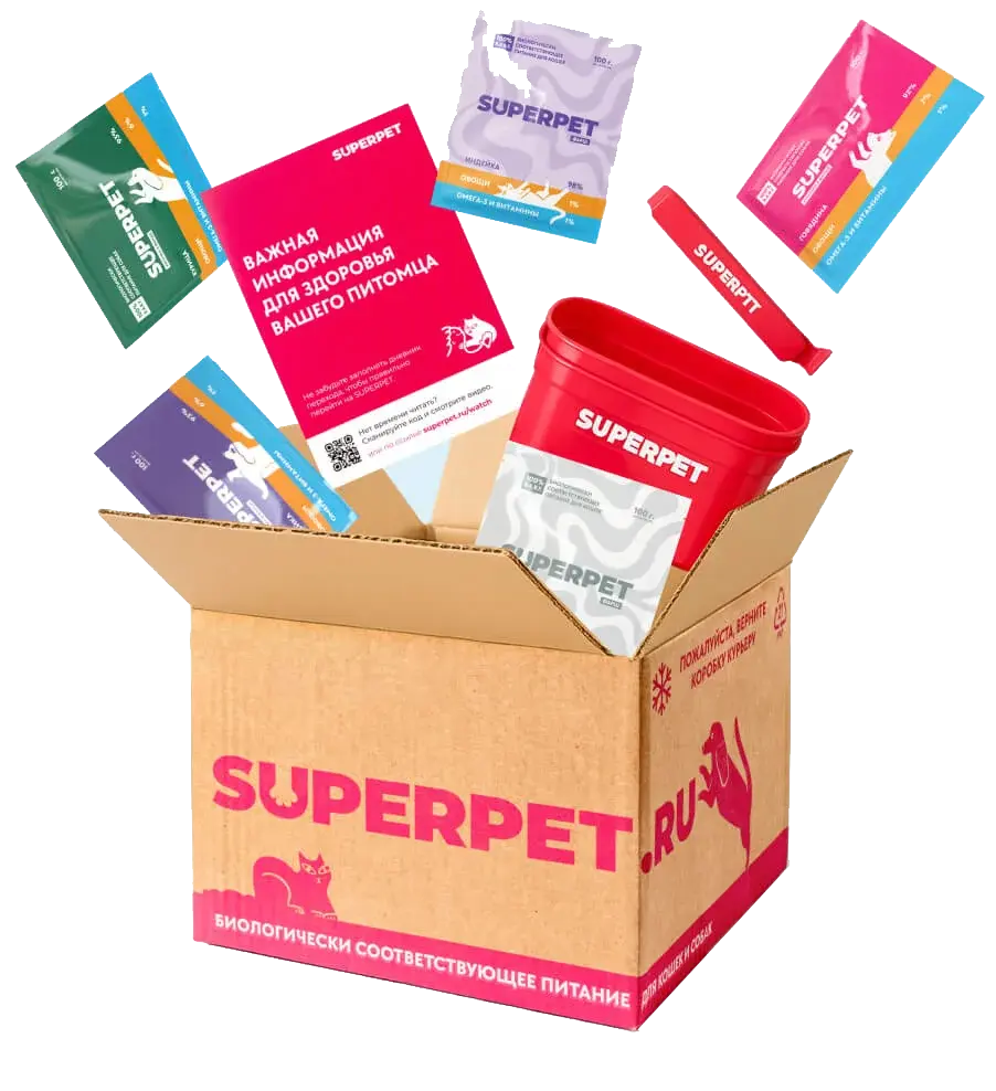 Стартовый набор Кот да Пёс