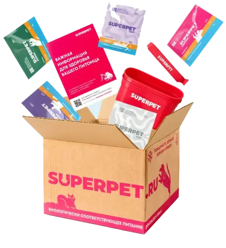 Стартовый набор Кот да Пёс